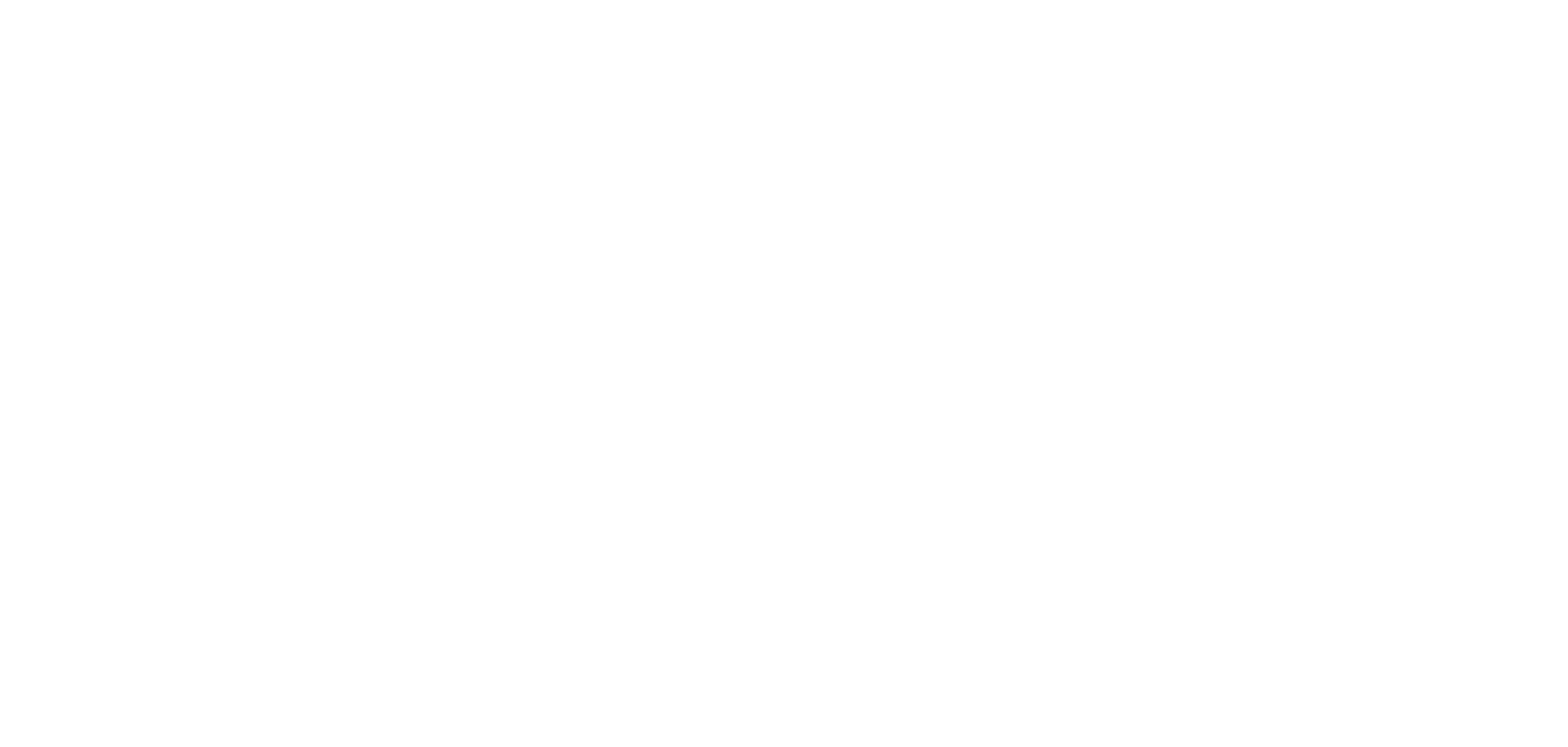 Stripe wordmark - white (large)